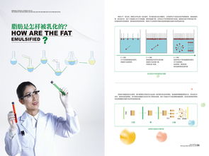 山东专业工业产品彩页设计服务解析 从价格因素到企业策划的完整指南