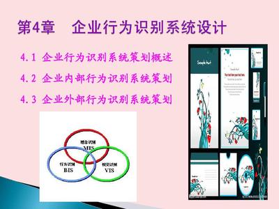 4-1企业行为识别系统策划